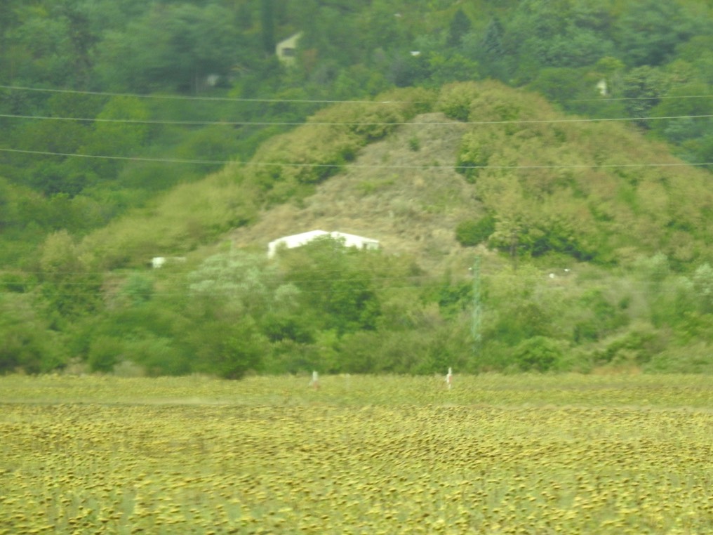 DSCN1002