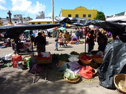 P1060377