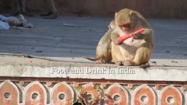 food-india-2016-3