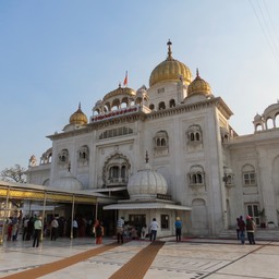 IMG_7392