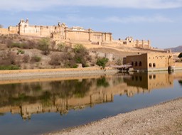 IMG_7930