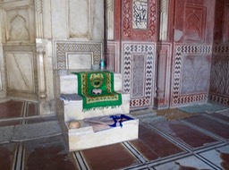 IMG_9065