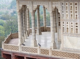 IMG_9228