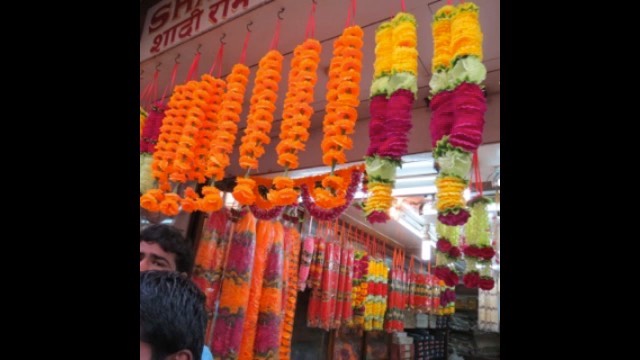 vibrant-india