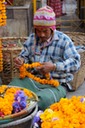 IMG_0052