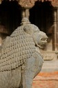 IMG_0235
