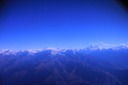 Himalayans