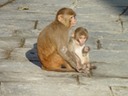 Mama and baby