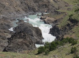 IMG_6245 (1)