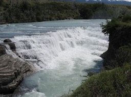 IMG_6256 (1)