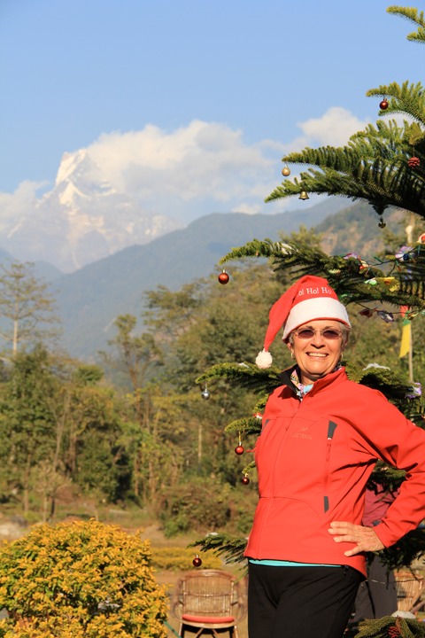 Happy Holidays Charlotte