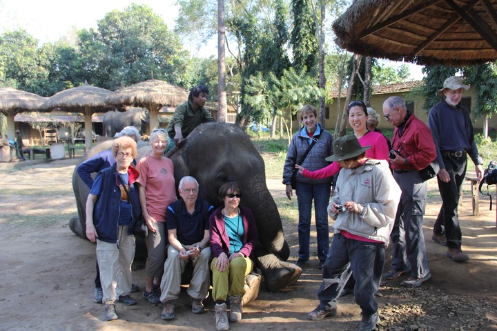 Our elephant ride is about to begin